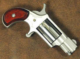 NAA Mini Revolver .22 LR